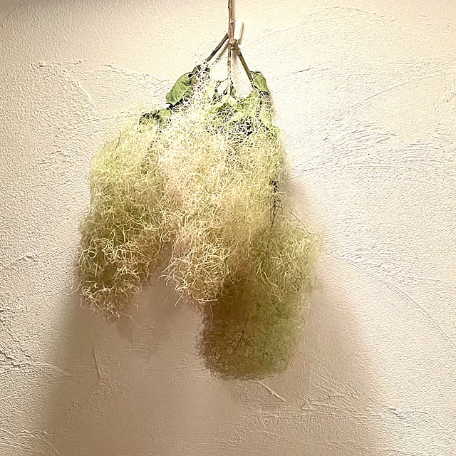 myuさんの部屋