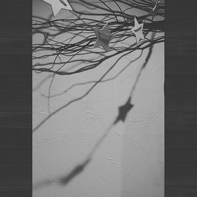 壁/天井/クリスマス/平屋/木の枝/ツリーのインテリア実例 - 2019-12-02 00:08:43