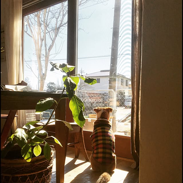 ototamariさんの実例写真