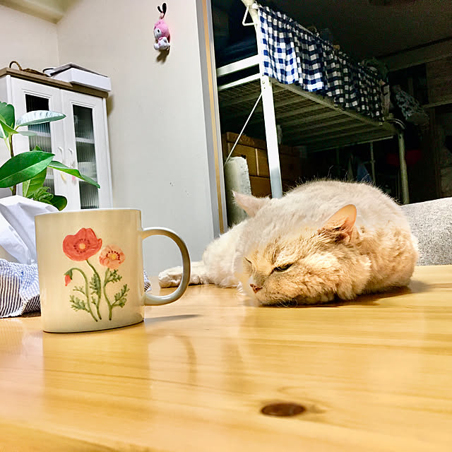 naokoさんの実例写真