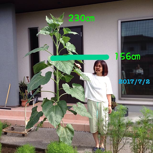kazuさんの実例写真