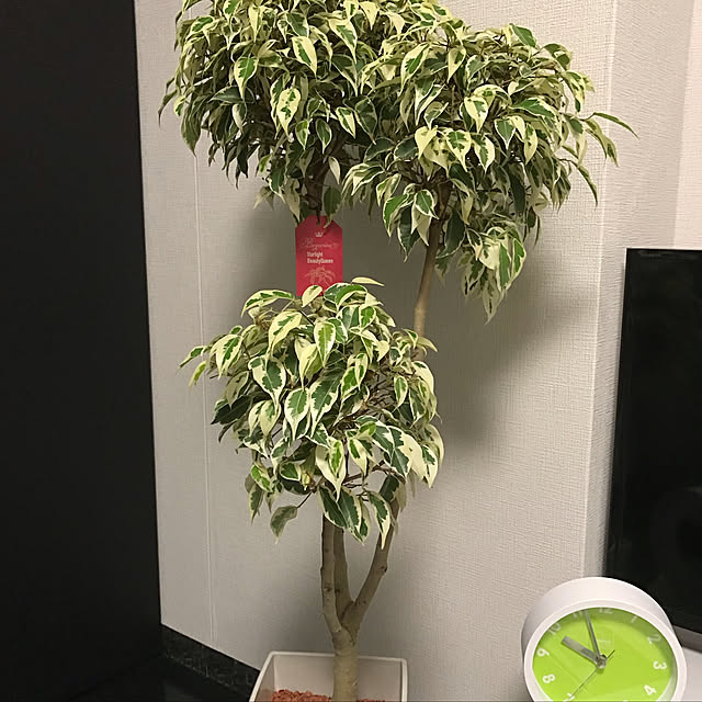usakoさんの実例写真