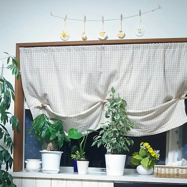 naopyiさんの実例写真