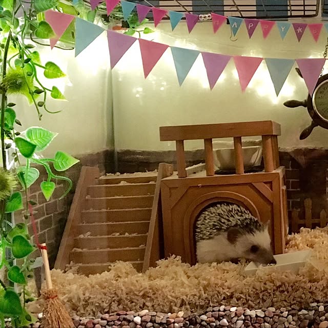 kumanosukeさんの実例写真