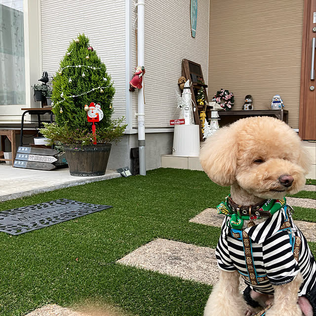 NICOさんの実例写真