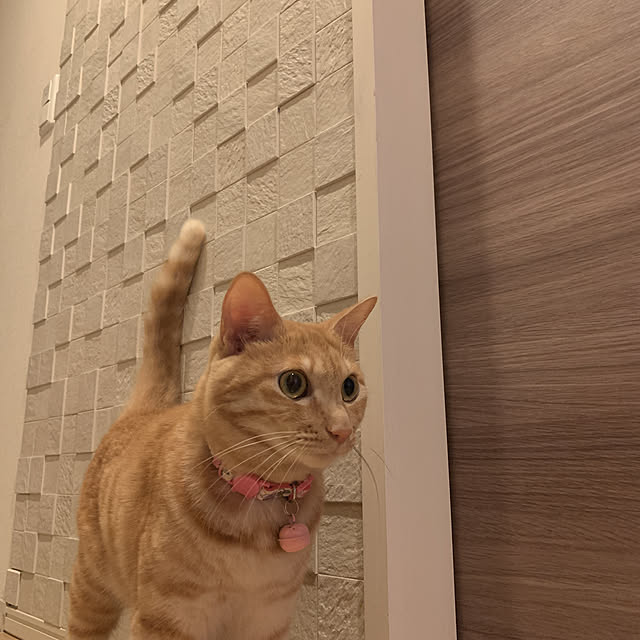 tsmttさんの実例写真