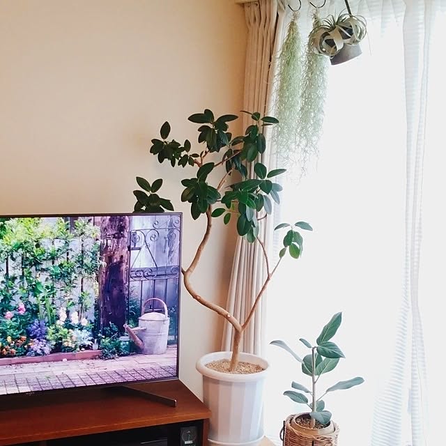 kerochanさんの部屋