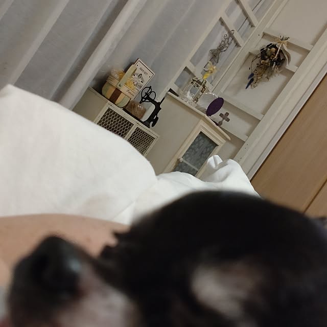 Bienvenueさんの実例写真