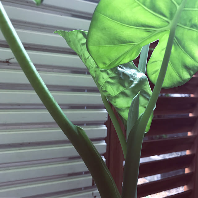 t.jさんの実例写真