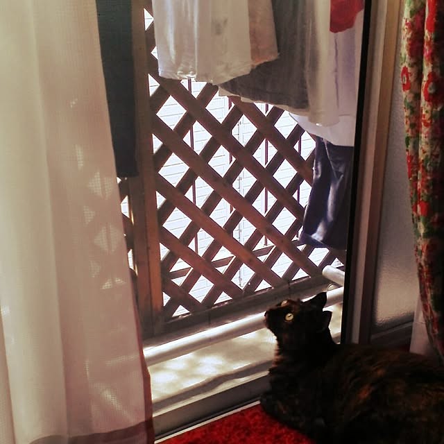 yukapiyonさんの実例写真
