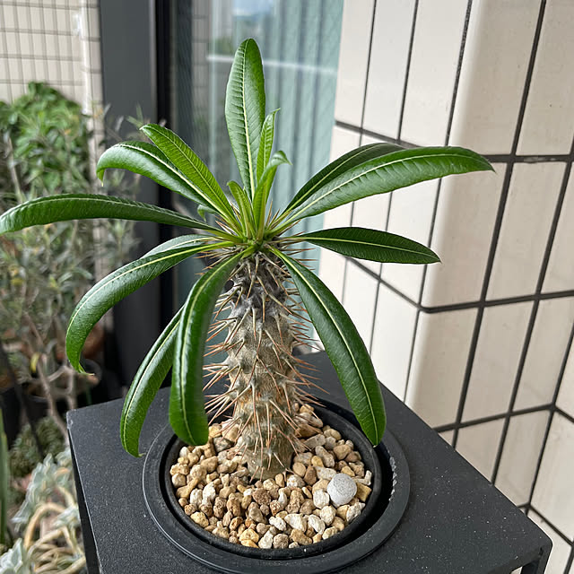 rinrinさんの部屋
