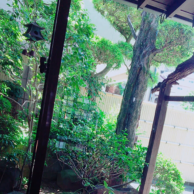 Rie.uさんの実例写真