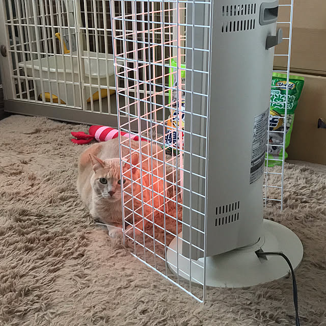 kaocaochinさんの実例写真