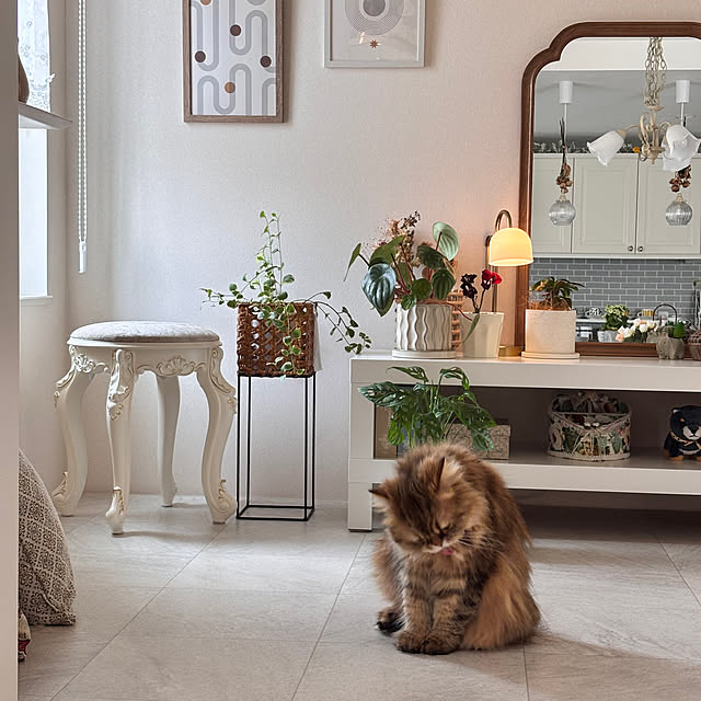 miyu39さんの部屋