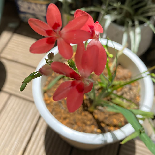 mamiさんの部屋