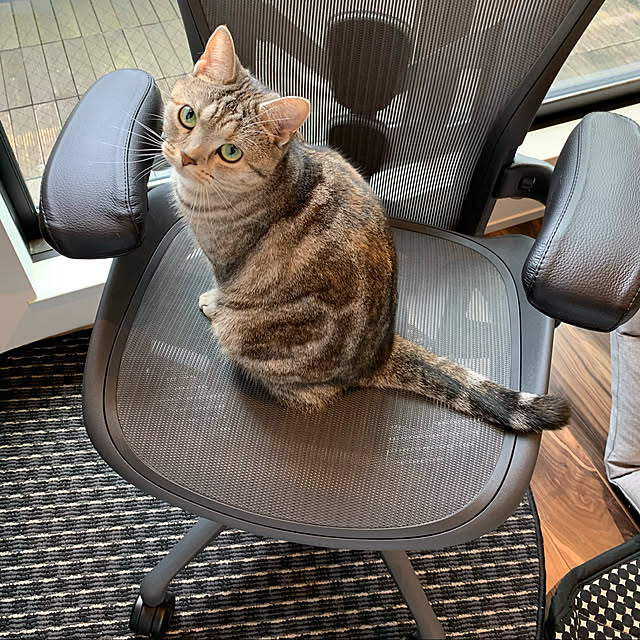 kaedeさんの実例写真