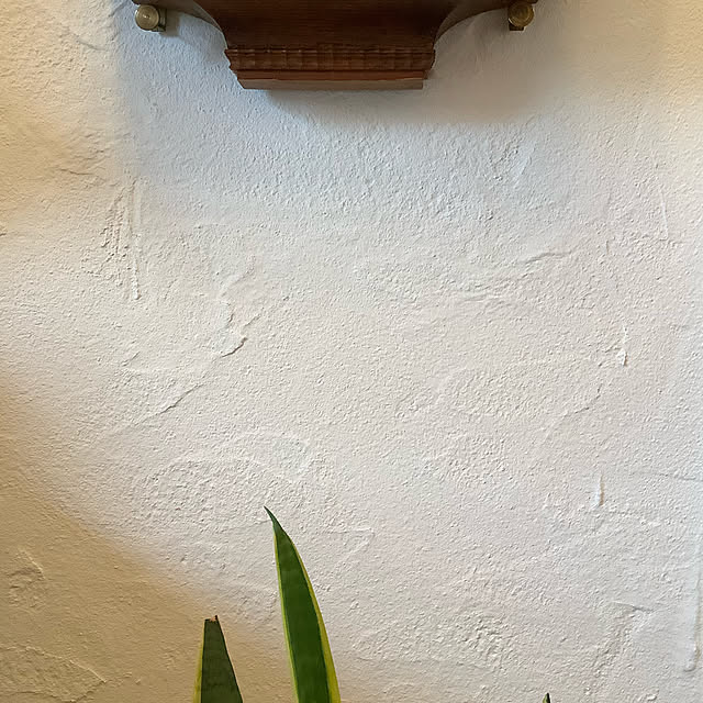 kanonさんの実例写真