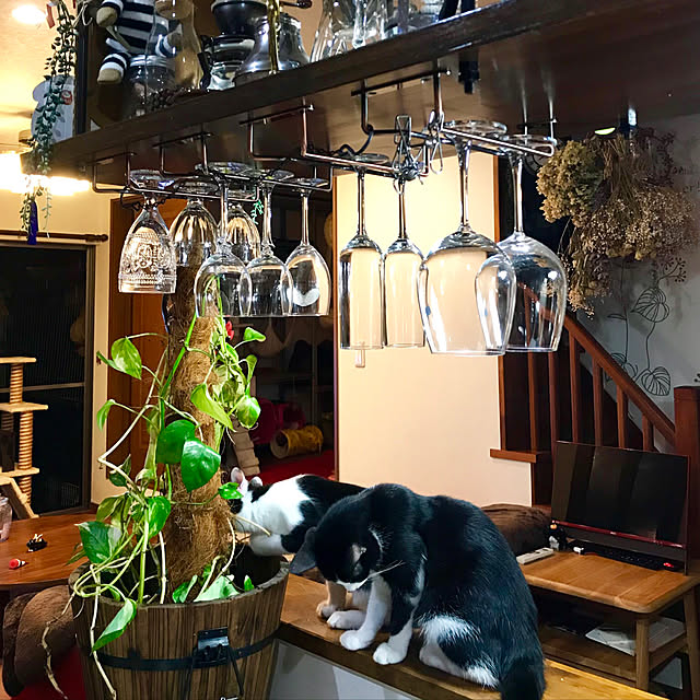 butachanさんの実例写真