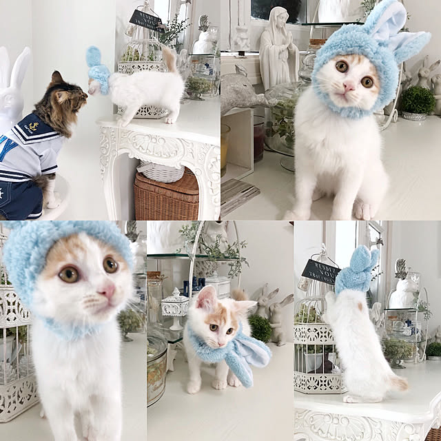 yuchiさんの実例写真