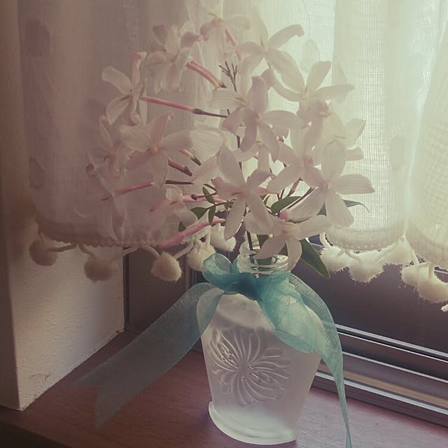 部屋全体/多肉植物のインテリア実例 - 2015-05-02 20:45:01
