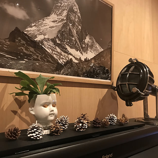 Hiroさんの実例写真