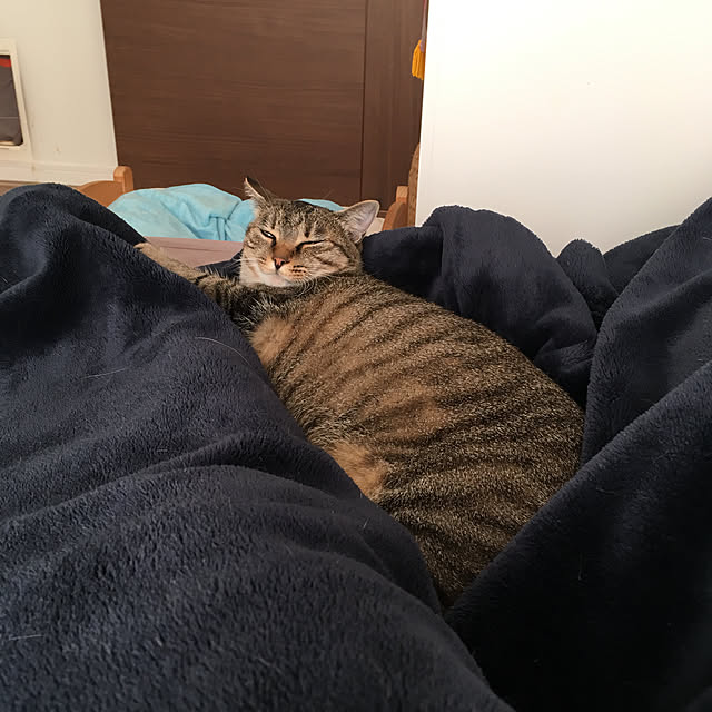 mikomaruさんの実例写真