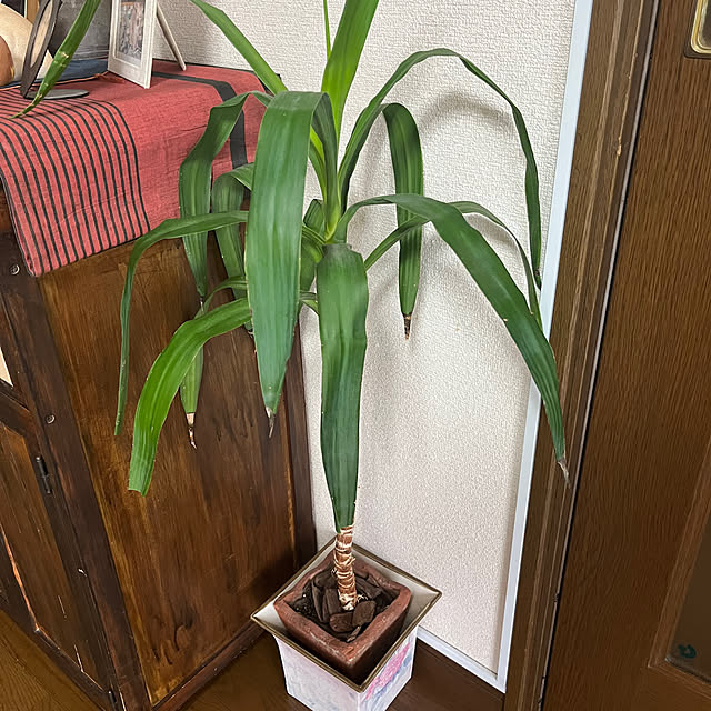 ritsukoさんの実例写真
