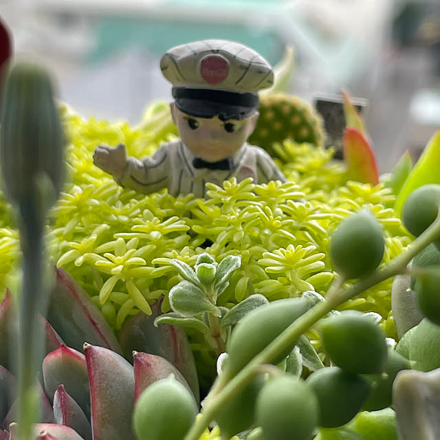 sata9さんの実例写真