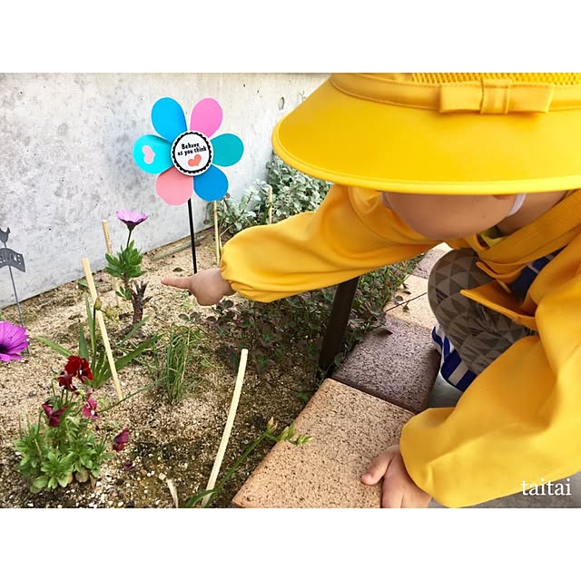 taitaiさんの実例写真