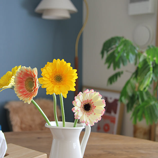 busho_no_hahaさんの部屋