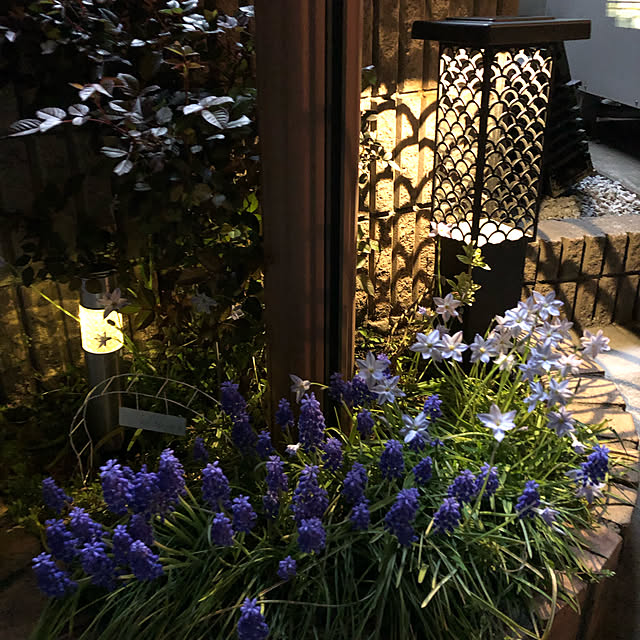 CoffeeHouseさんの部屋