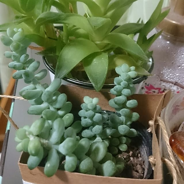 happytoday0905さんの実例写真