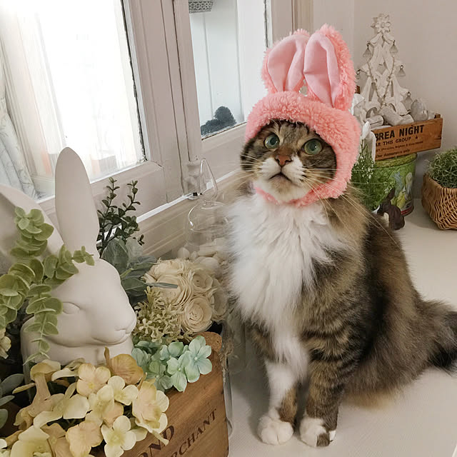 yuchiさんの実例写真