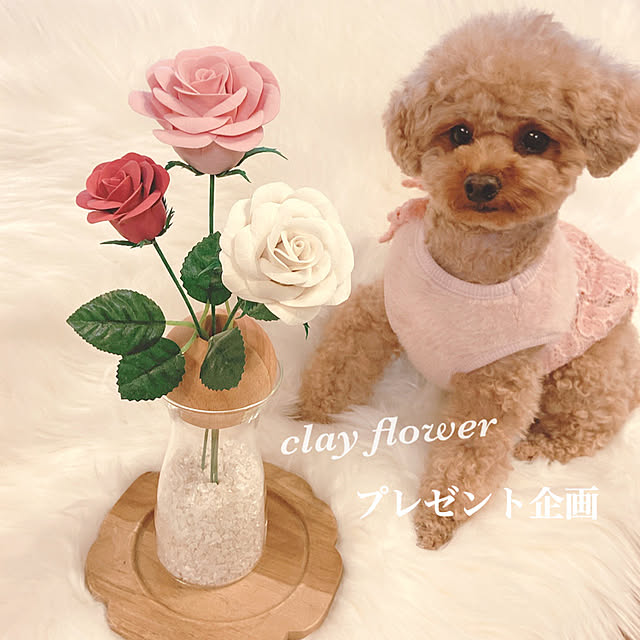 e.and.m.mamaさんの実例写真