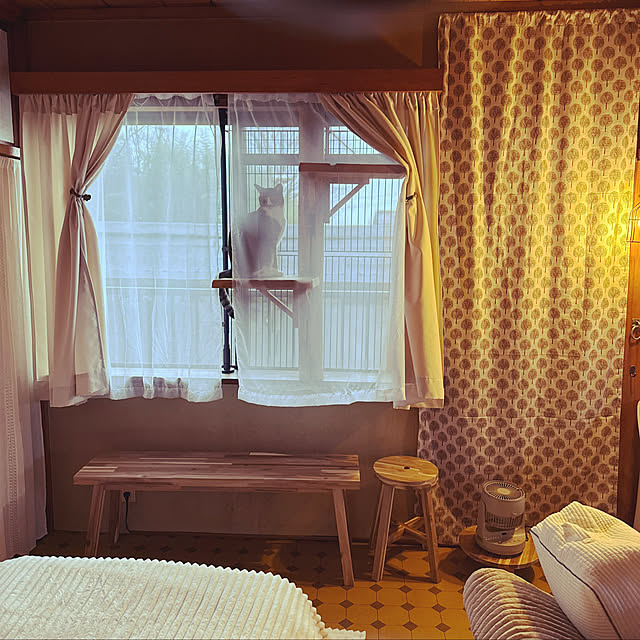 rioさんの実例写真