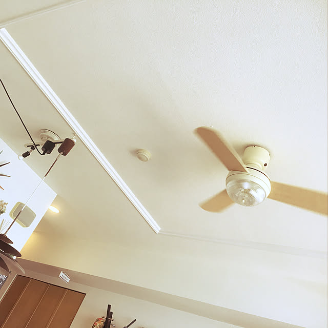hime6hina28さんの実例写真