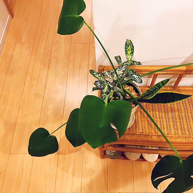 rizumu4649さんの実例写真