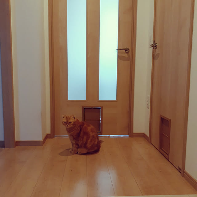 naoさんの実例写真