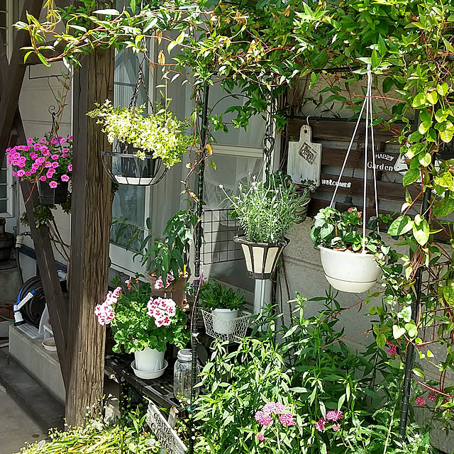 koyutan-mjmさんの実例写真