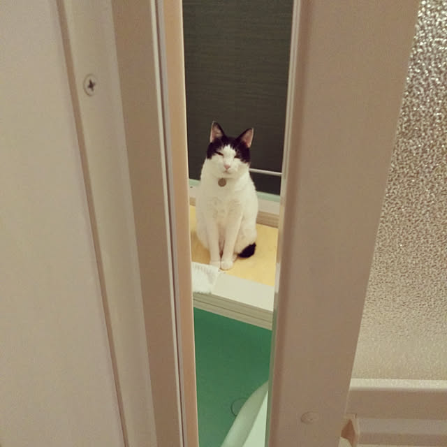 futukoさんの実例写真