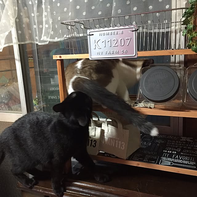 vivienne.coco-keiさんの実例写真