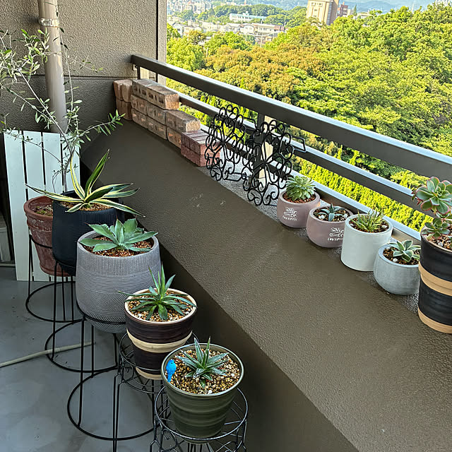 koshiregutyoさんの実例写真