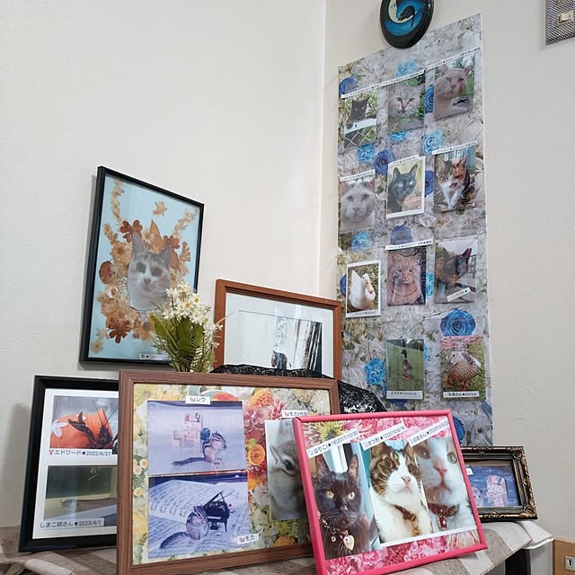 NOAHさんの部屋
