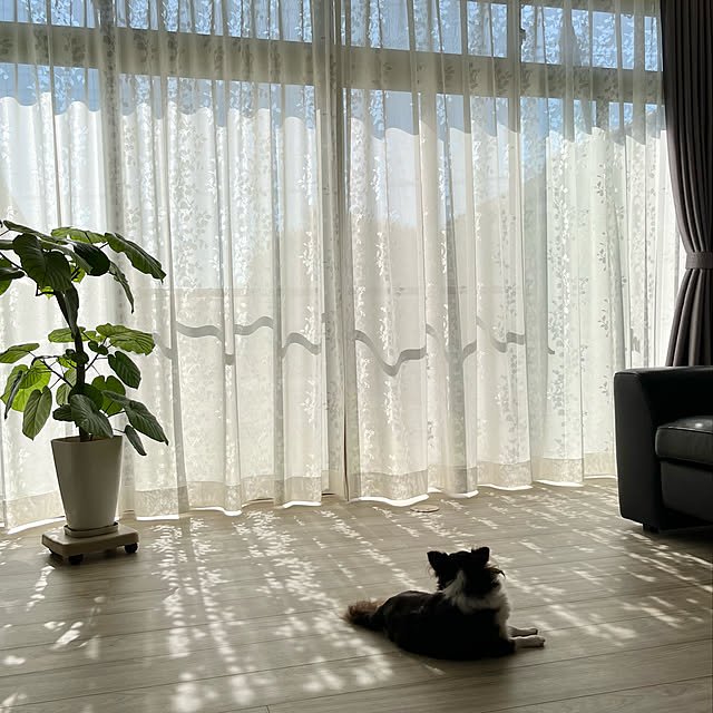 Hannahさんの実例写真