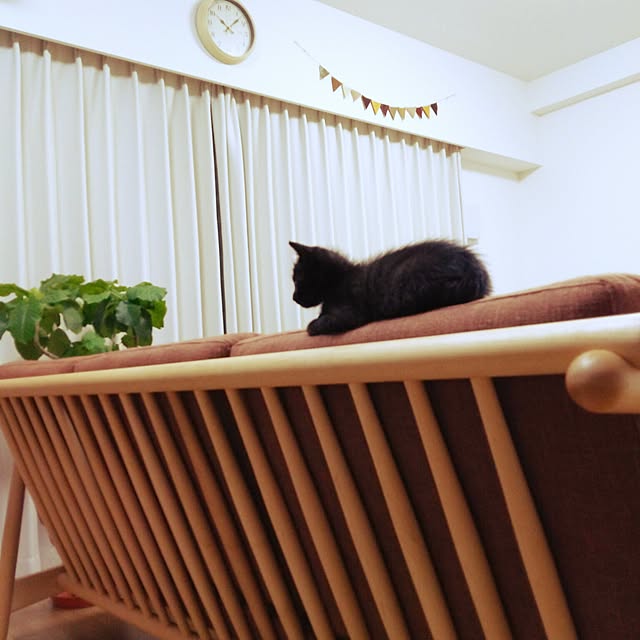 miyukiさんの実例写真
