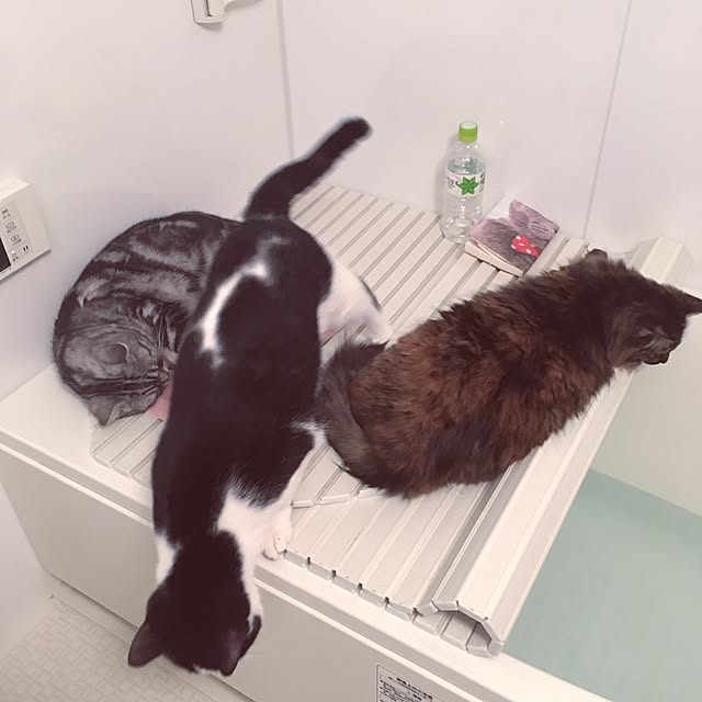 mikomaruさんの実例写真
