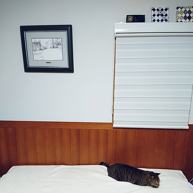 nachiさんの実例写真