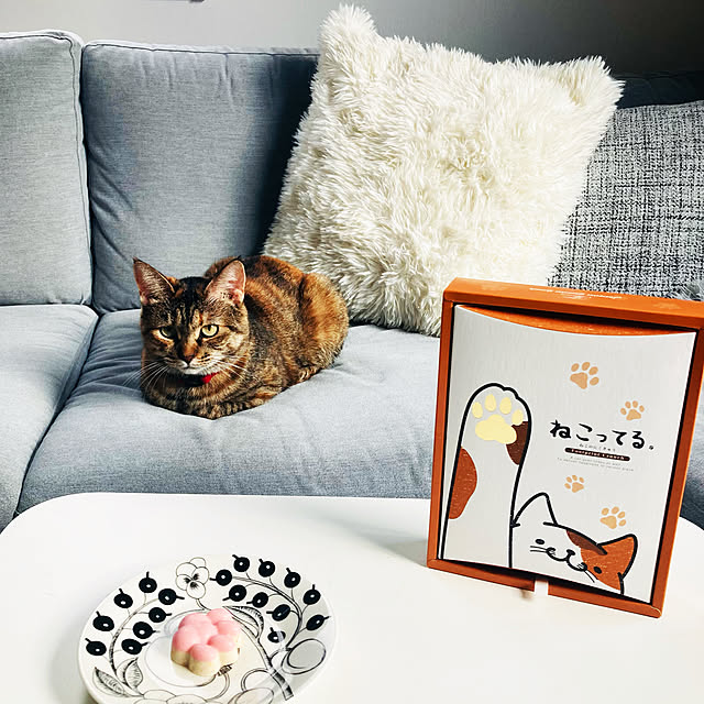 minminさんの実例写真
