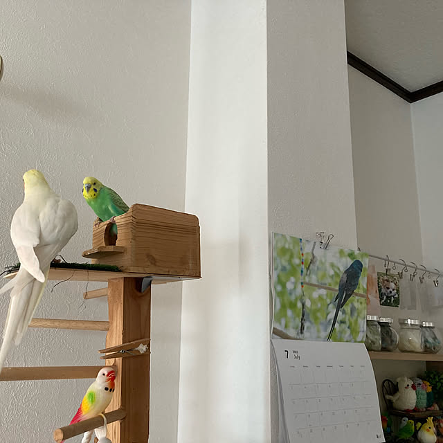 toratanさんの実例写真