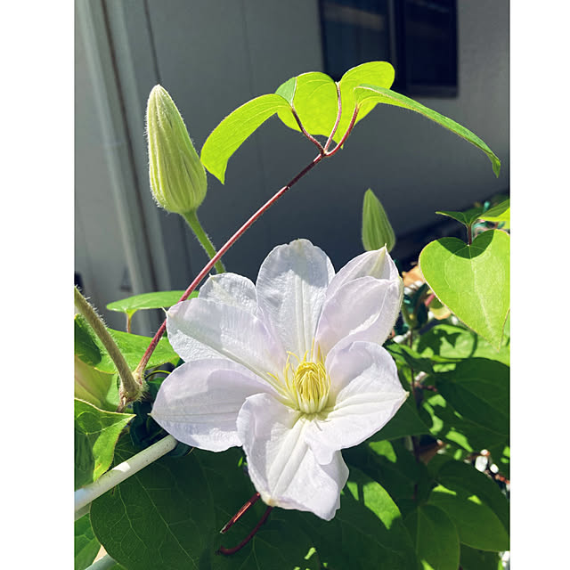CoCo0617さんの部屋